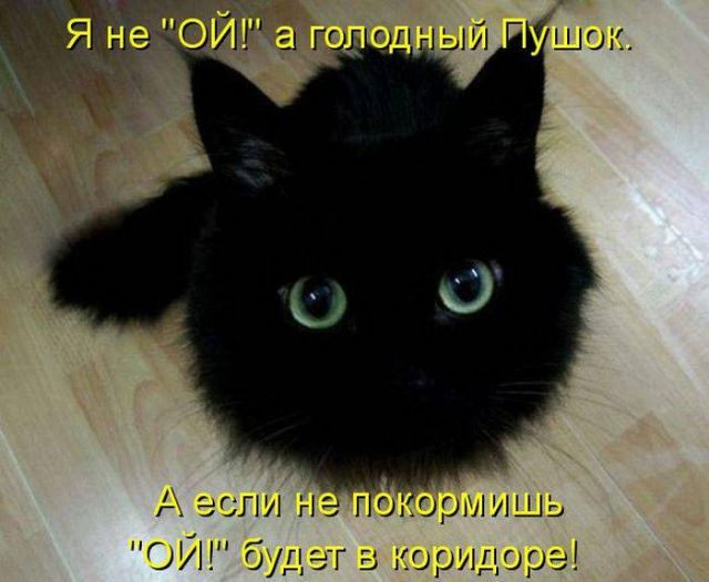 Недостатки групповых чатов