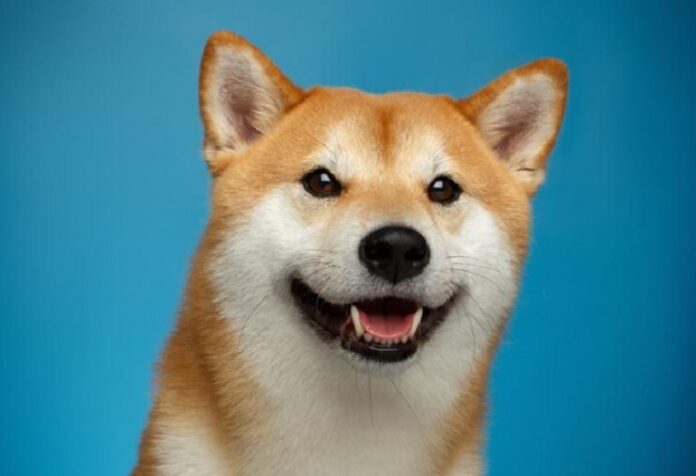 Dogecoin