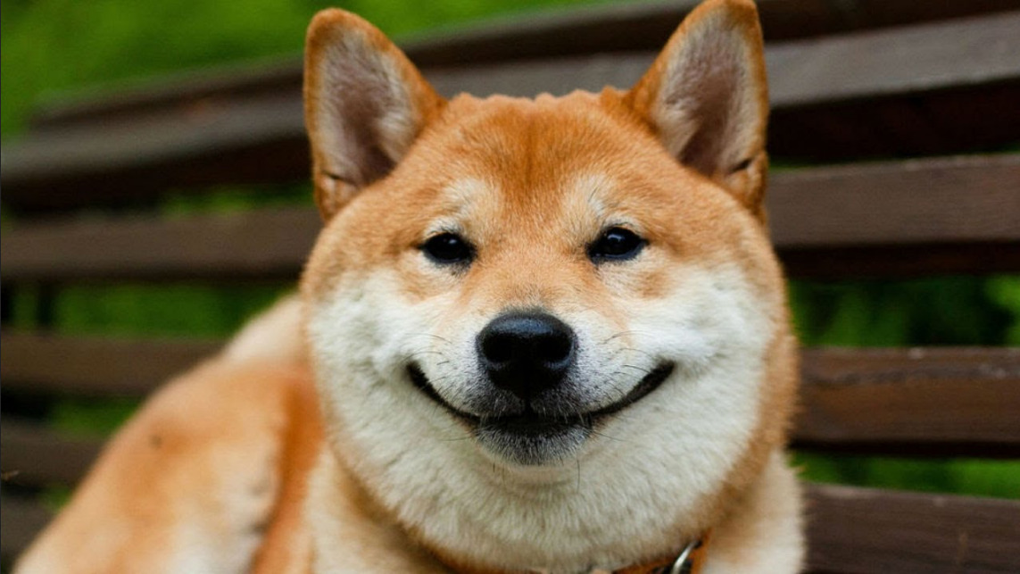 Что лучше, выгоднее и перспективнее: Shiba Inu (+78 000 000 % в год) или Koinos (+ 535% в месяц)