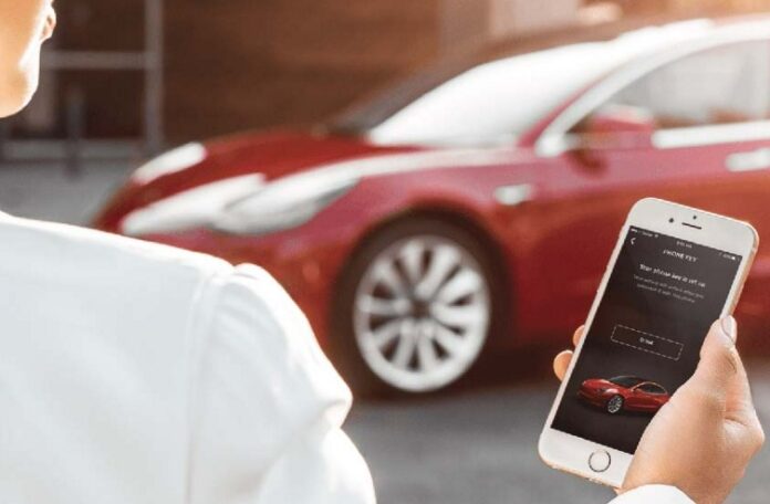 каршеринговый сервис Tesla Network