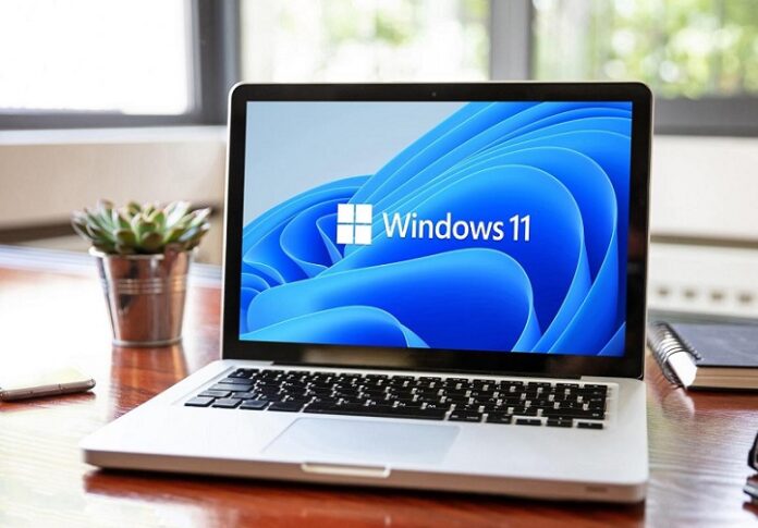 Windows 11